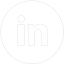 linkedin icon